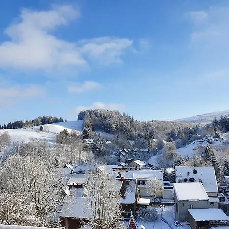 Haus Nietmann 1 Διαμέρισμα Altenau (Lower-Saxony)