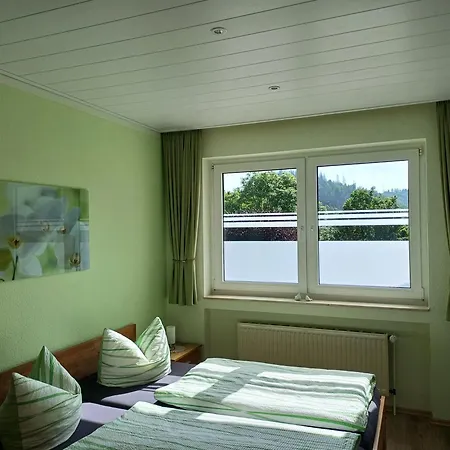 Haus Nietmann 1 * Altenau (Lower-Saxony)