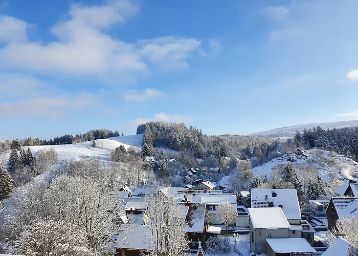 Haus Nietmann 1 Apartamento Altenau (Lower-Saxony)